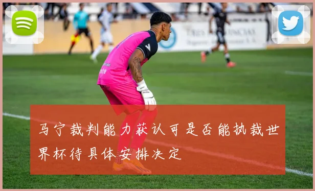 马宁裁判能力获认可是否能执裁世界杯待具体安排决定