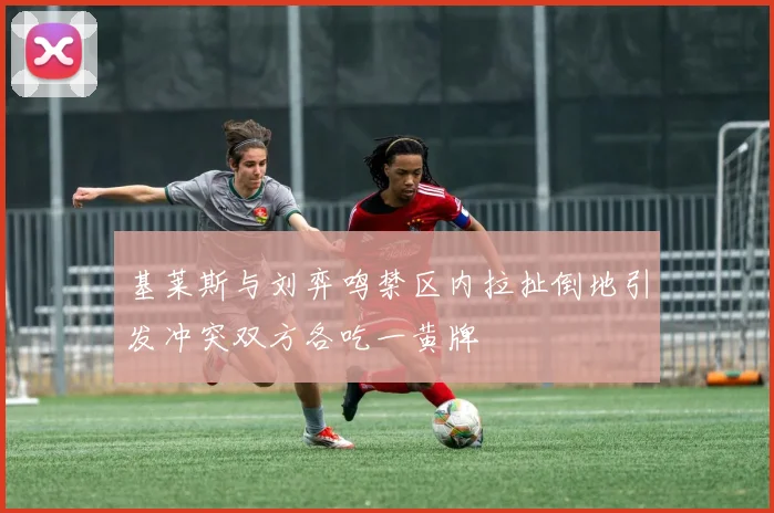 基莱斯与刘弈鸣禁区内拉扯倒地引发冲突双方各吃一黄牌
